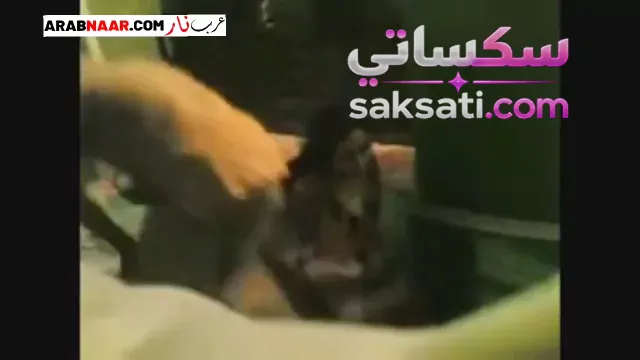 سكس صعيدي زب الصعيدي يفشخ كس اللبوة المصرية